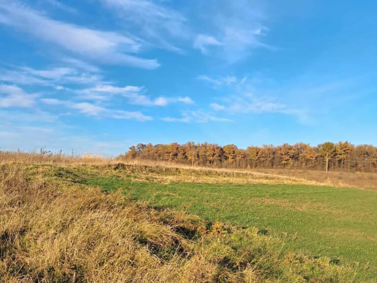 ділянка сільгосппризначення, Байківці, Гаї Ходорівські