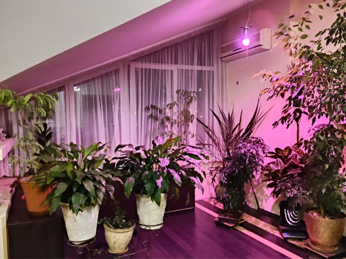 5-кім. квартира, Тернопіль, Старий парк, вул. Квітки Цісик (Ломоносова)