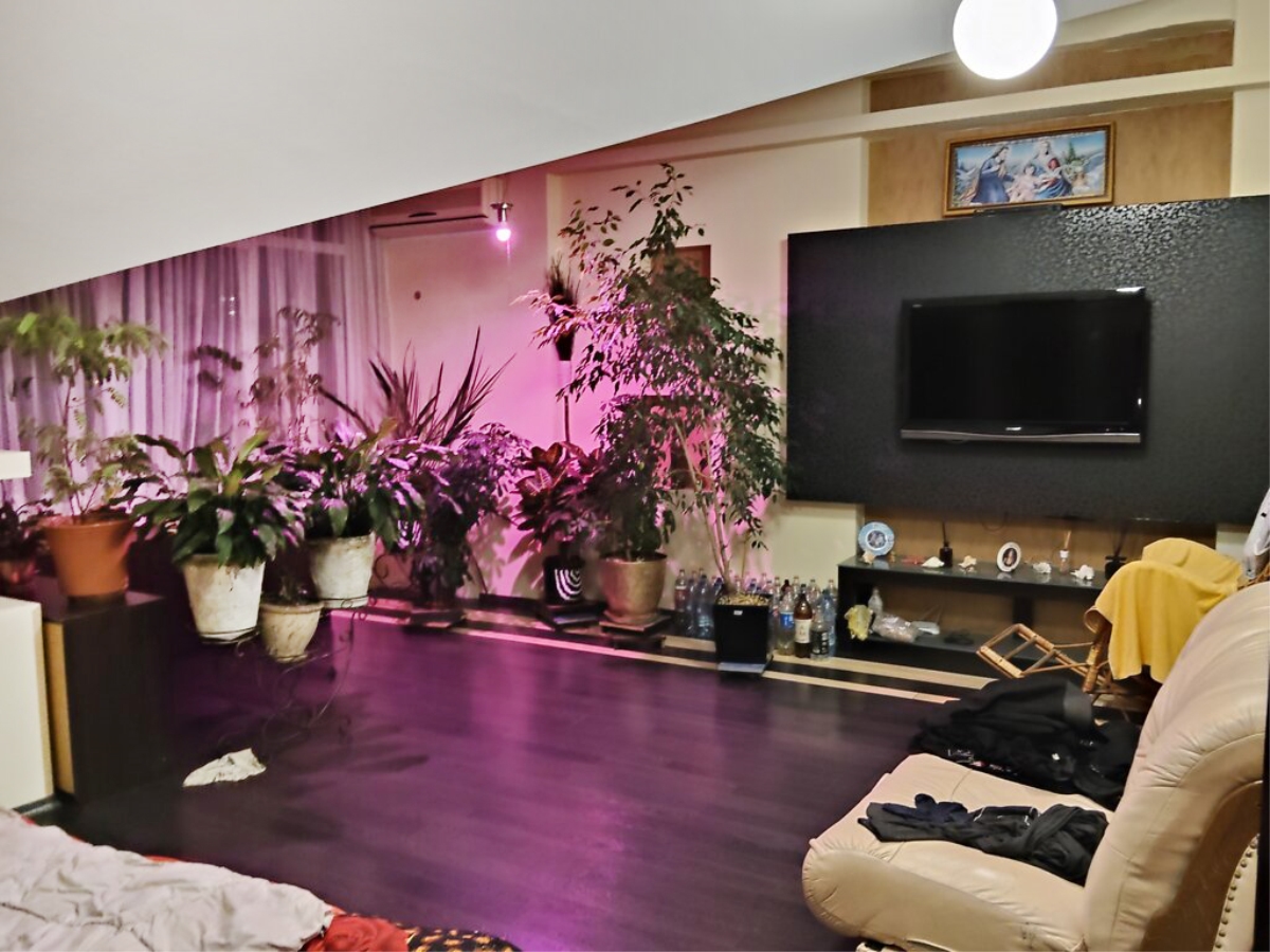 5-кім. квартира, Тернопіль, Старий парк, вул. Квітки Цісик (Ломоносова)