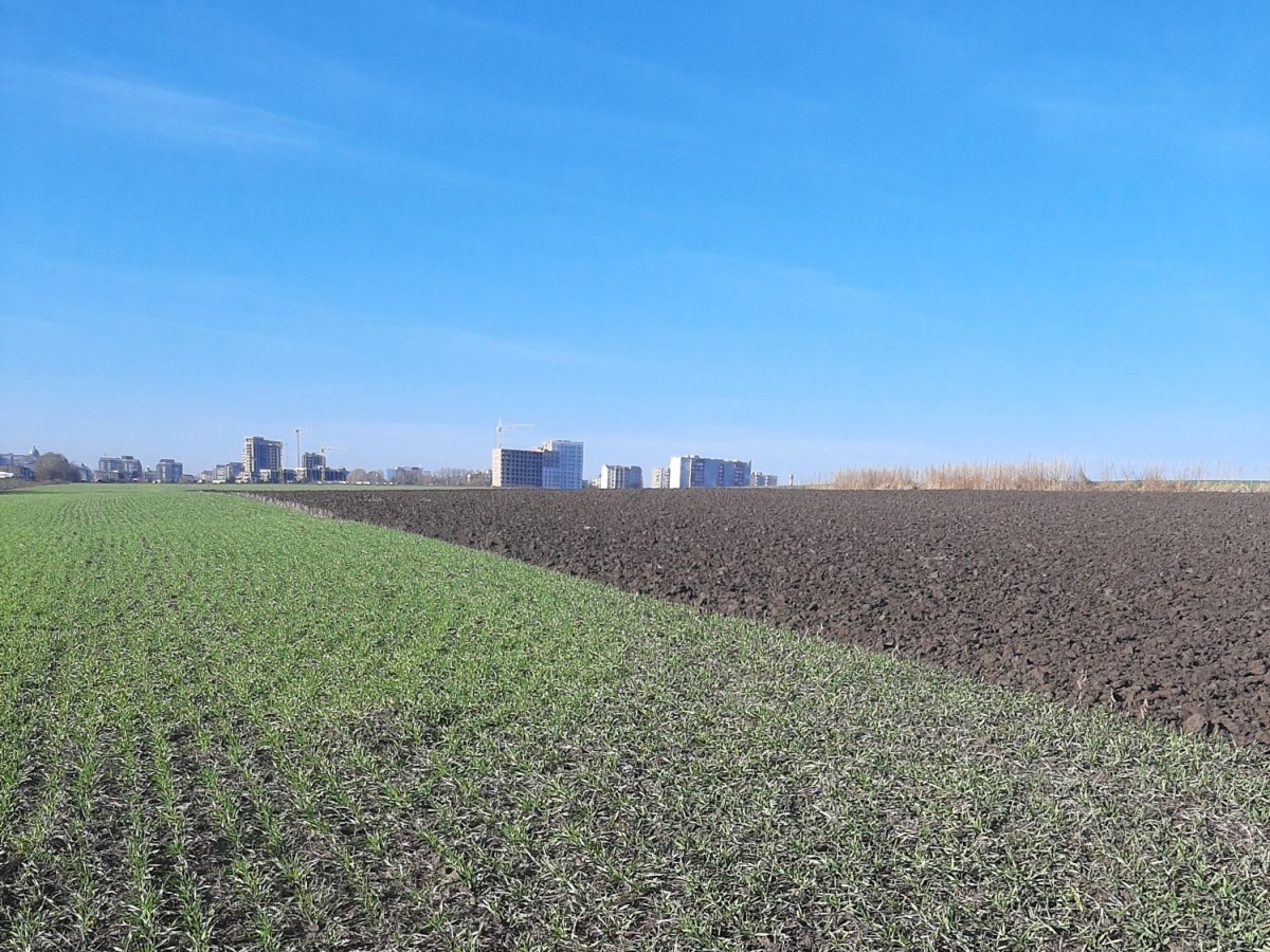 ділянка сільгосппризначення, Байківці, Гаї Ходорівські