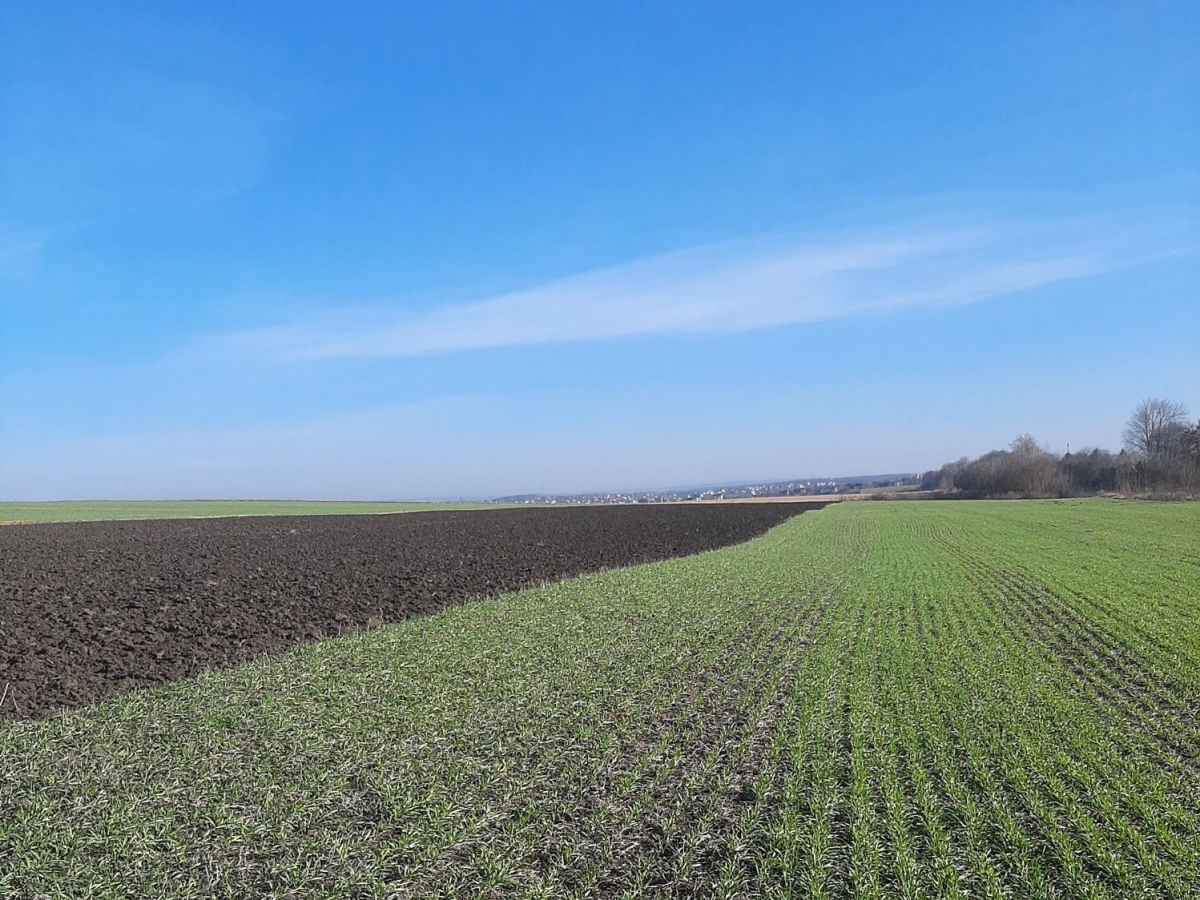 ділянка сільгосппризначення, Байківці, Гаї Ходорівські