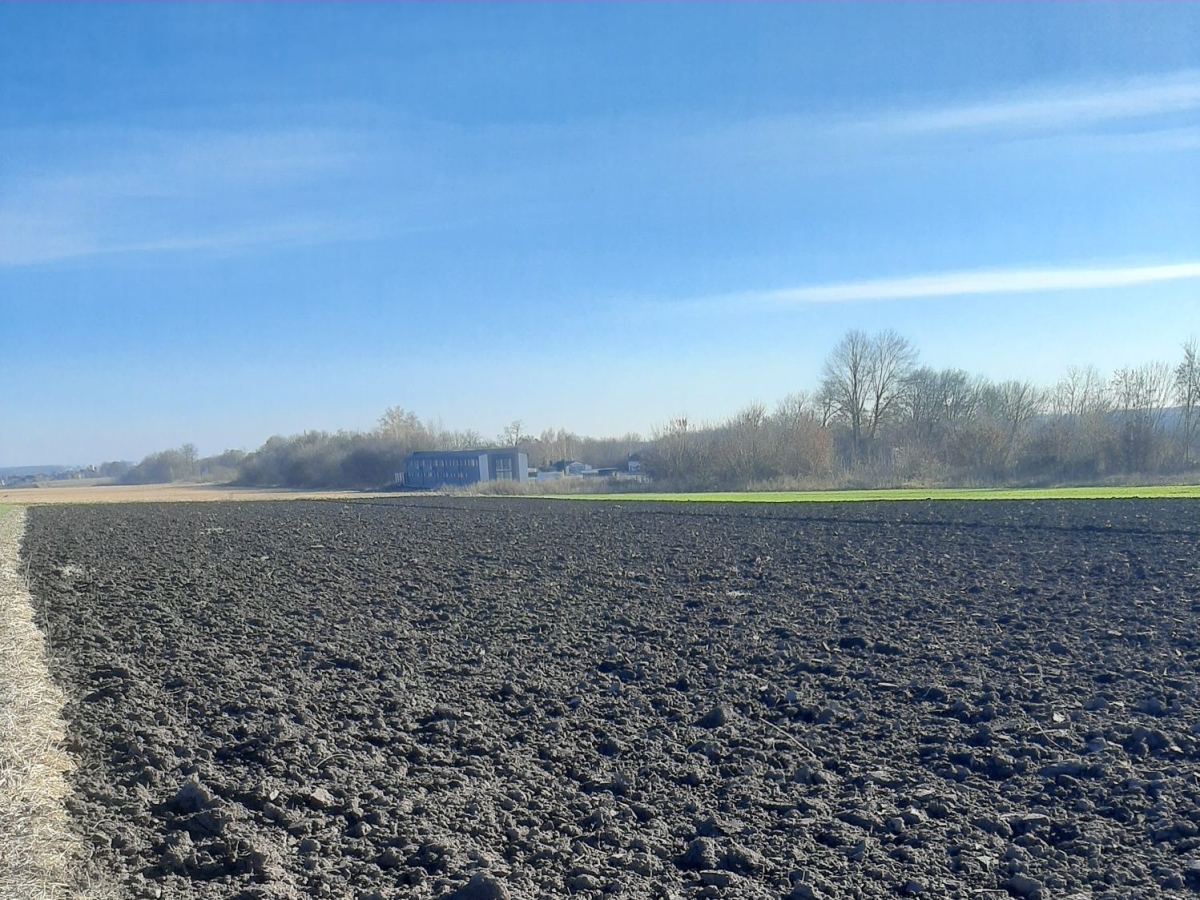 ділянка сільгосппризначення, Байківці, Гаї Ходорівські