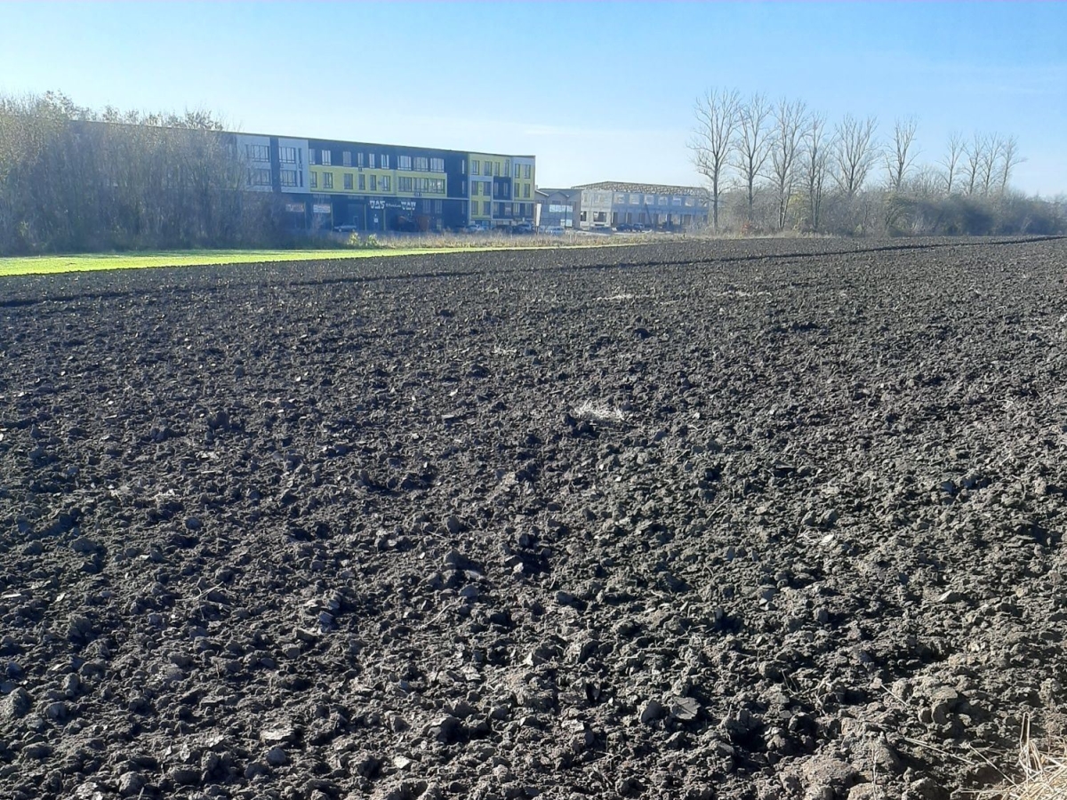 ділянка сільгосппризначення, Байківці, Гаї Ходорівські