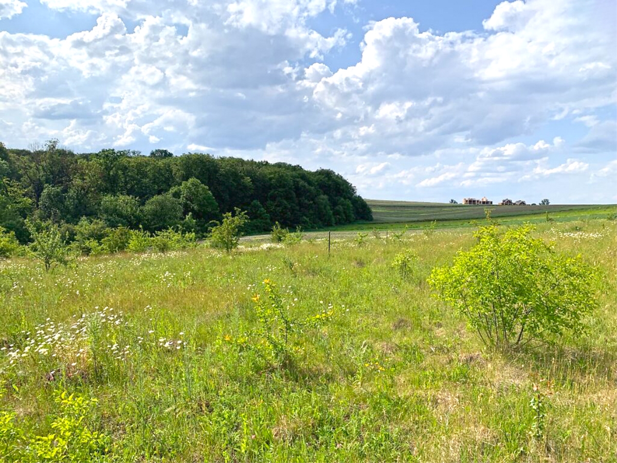 ділянка під забудову, Байківці, Галицький