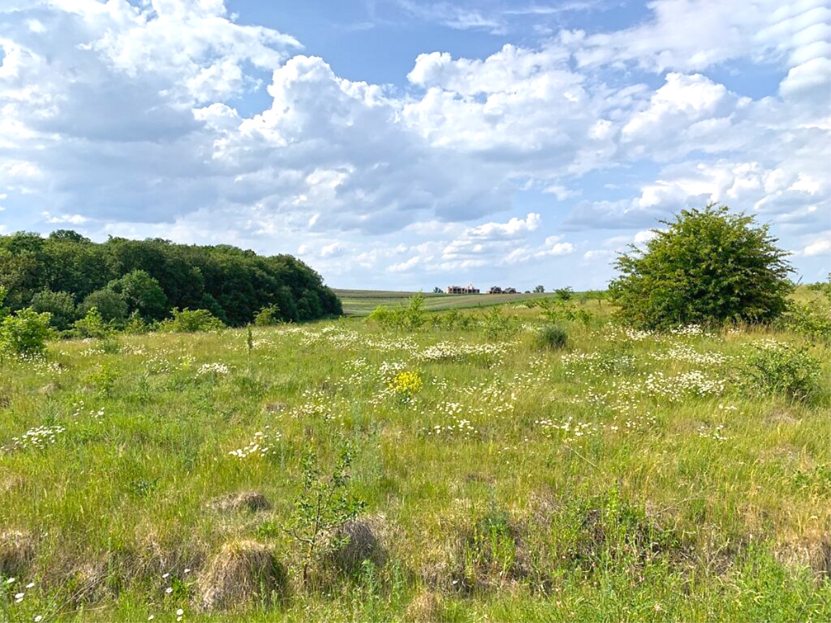 ділянка під забудову, Байківці, Галицький
