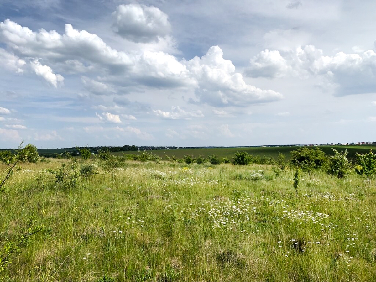 ділянка під забудову, Байківці, Галицький