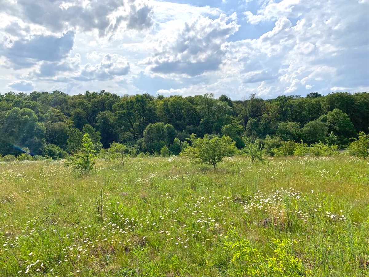 ділянка під забудову, Байківці, Галицький