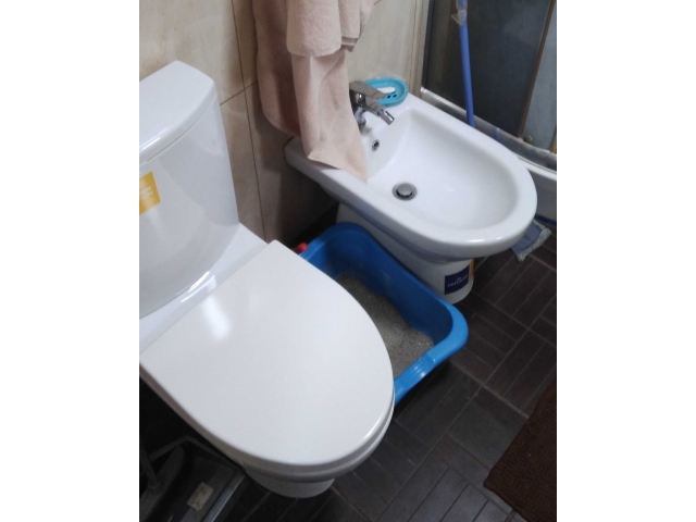 1-кім. квартира, Тернопіль, Березовиця, вул. Лесі Українки