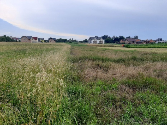 ділянка під забудову, Великі Гаї, Район 
