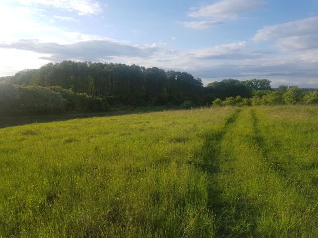 ділянка під забудову, Великі Гаї, Район стадіону