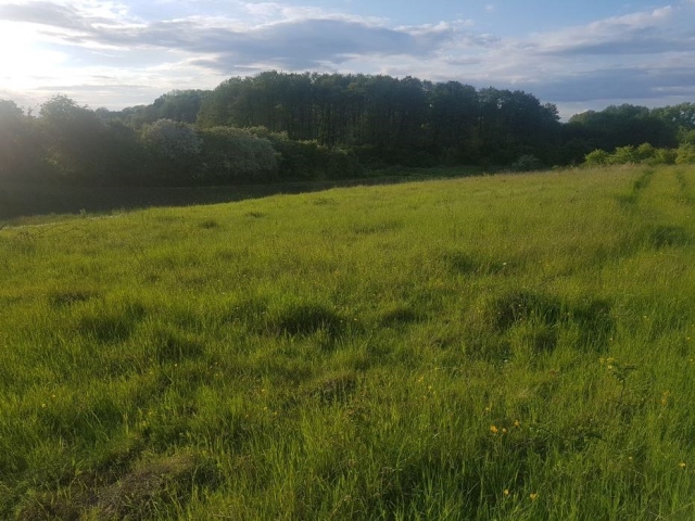 ділянка під забудову, Великі Гаї, Район стадіону