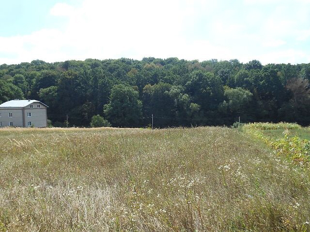 ділянка під забудову, Великі Гаї, вул. Лісова