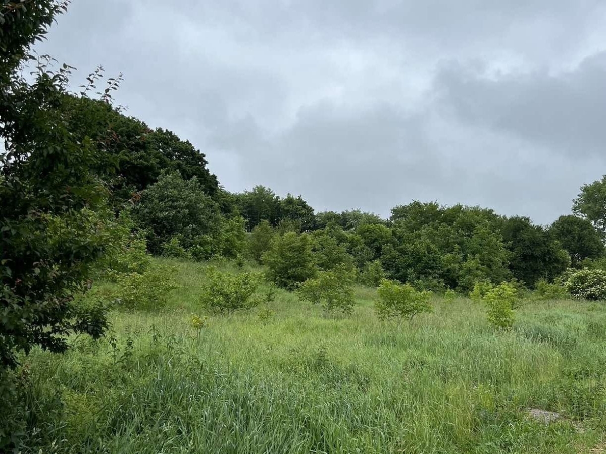 ділянка під забудову, Гаї Шевченківські, вул. Зелена