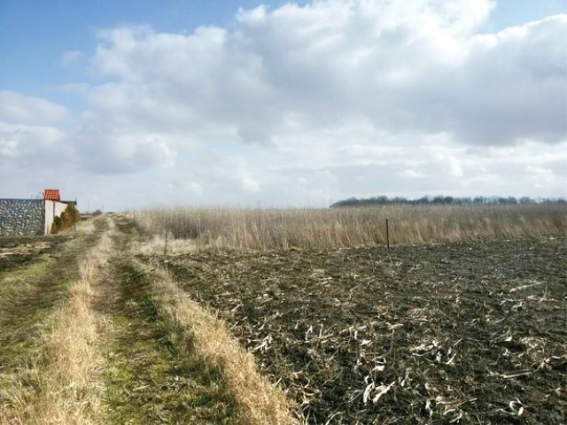ділянка під забудову, Великі Гаї, Район 