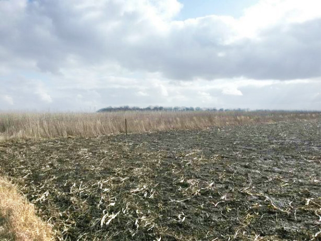 ділянка під забудову, Великі Гаї, Район 