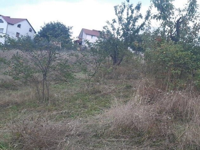 дачна ділянка, Петриків, Район будинку пристарілих