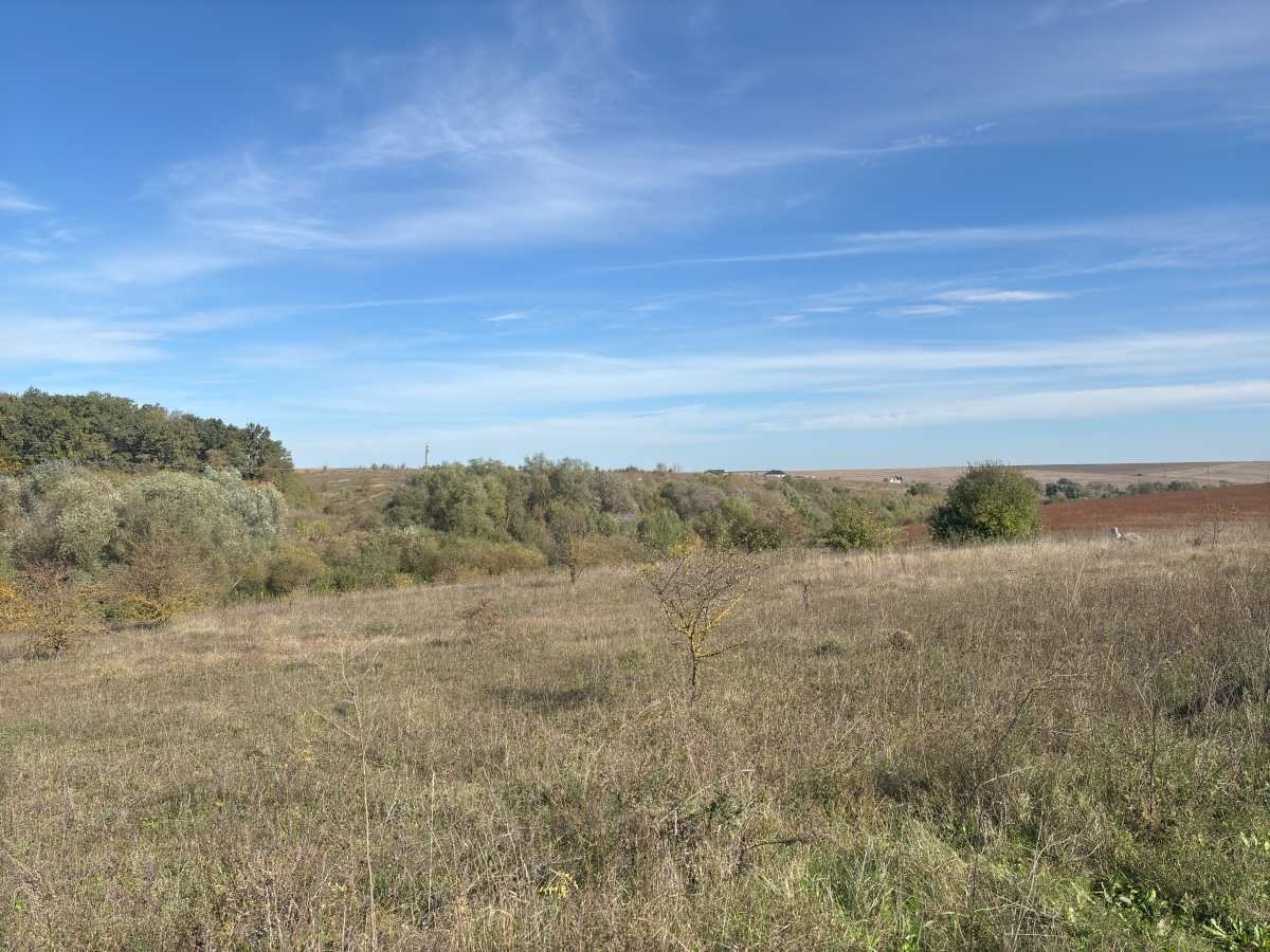 ділянка під забудову, Байківці, Гаї Ходорівські