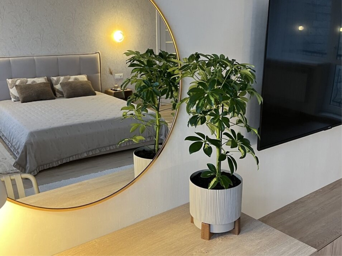 2-кім. квартира, Тернопіль, Центр, вул. Старий ринок