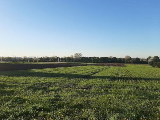 ділянка під забудову, Великі Гаї, Район залізничної станції