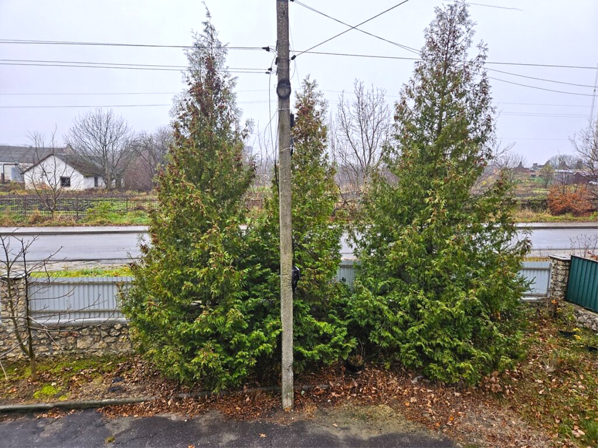 3-кім. квартира, Тернопіль, Кутківці, вул. Петра Батьківського (Бригадна)