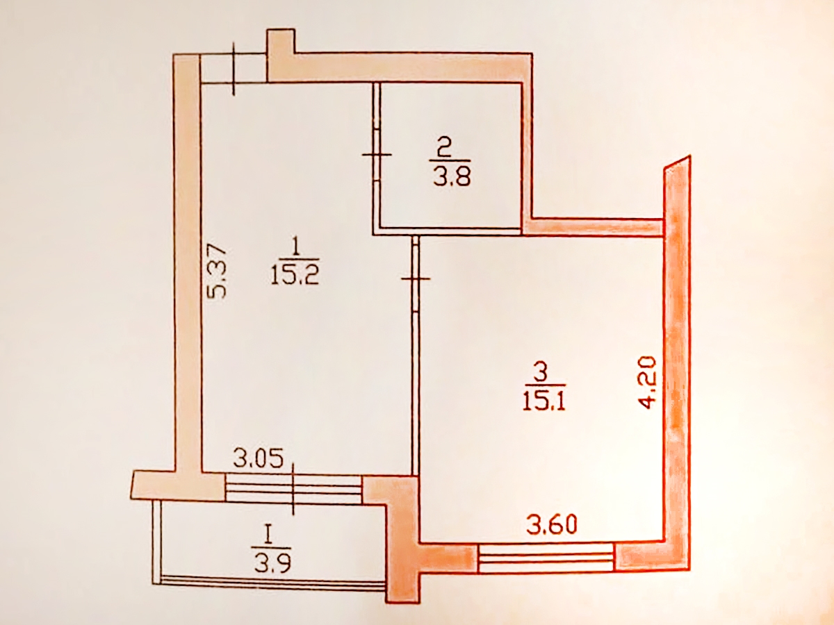 1-кім. квартира, Петриків